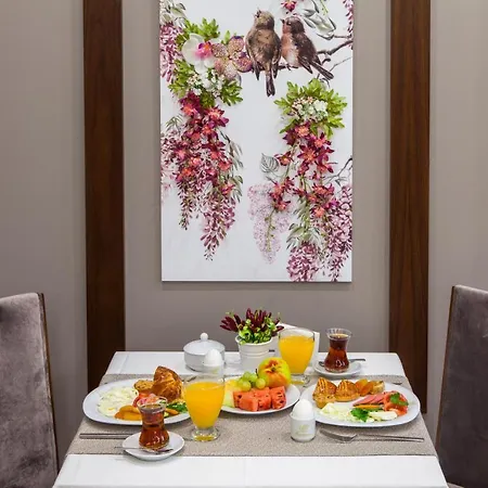 Ferman Hilal Hotel-special Category Hotel Provincia di Istanbul